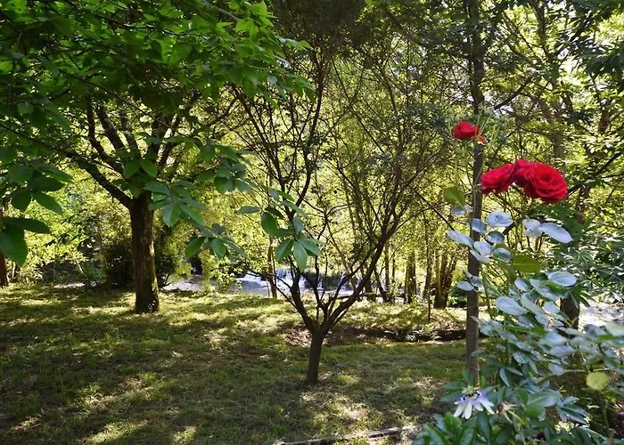 Gospodarstwo wiejskie Casa Da Quinta Do Rei *